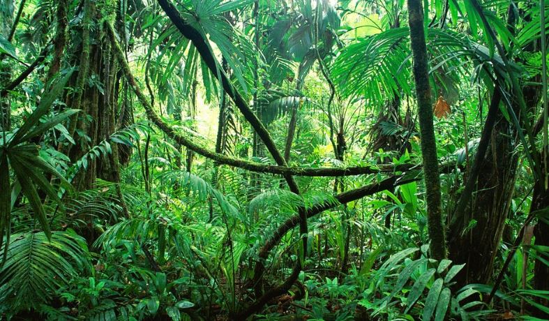 sustainability issues