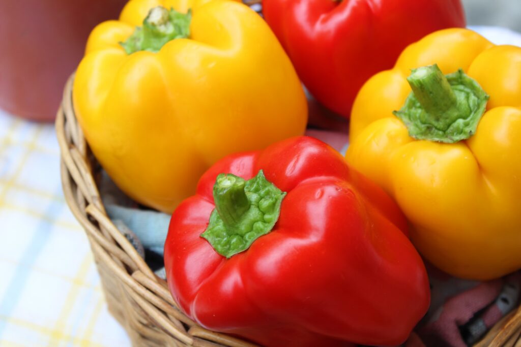 Capsicum Plant; Everything you need to know SkyPerma