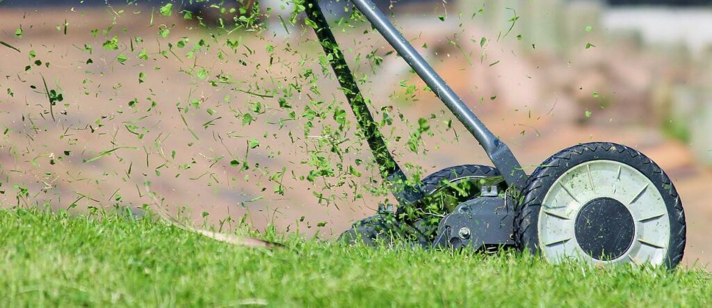 Grass Cuttings