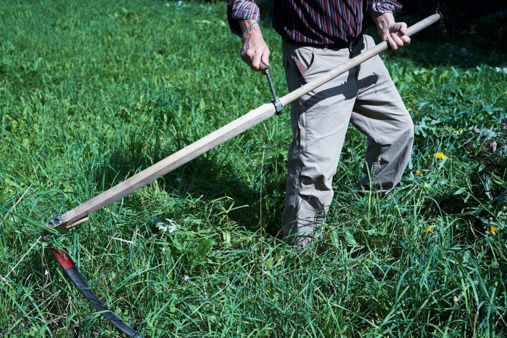Grass Cuttings