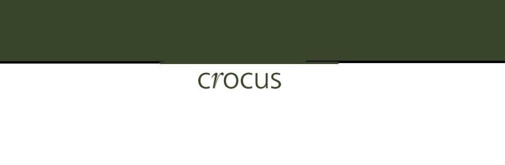crocus logo 