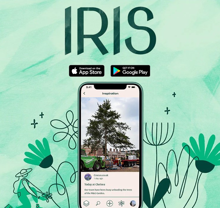 crocus iris app 