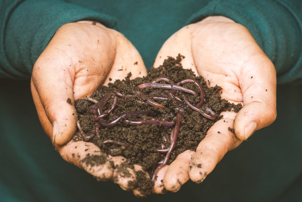 worm farms