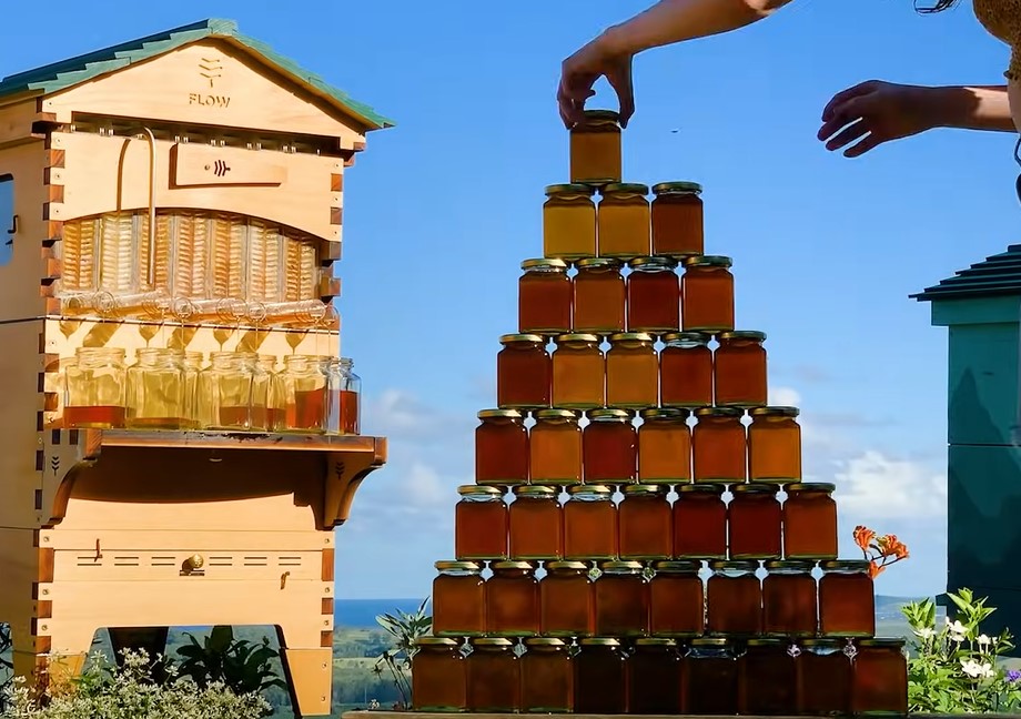 honey, flow hive review